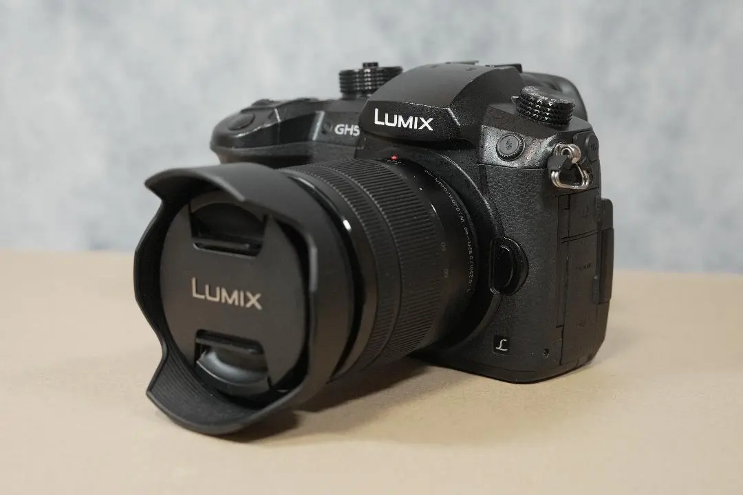 2026年最新】gh5 v-logの人気アイテム - メルカリ
