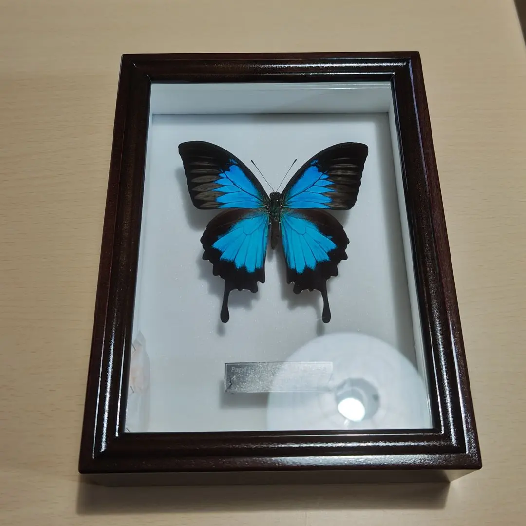 m17404240262_1.jpg?1670244461