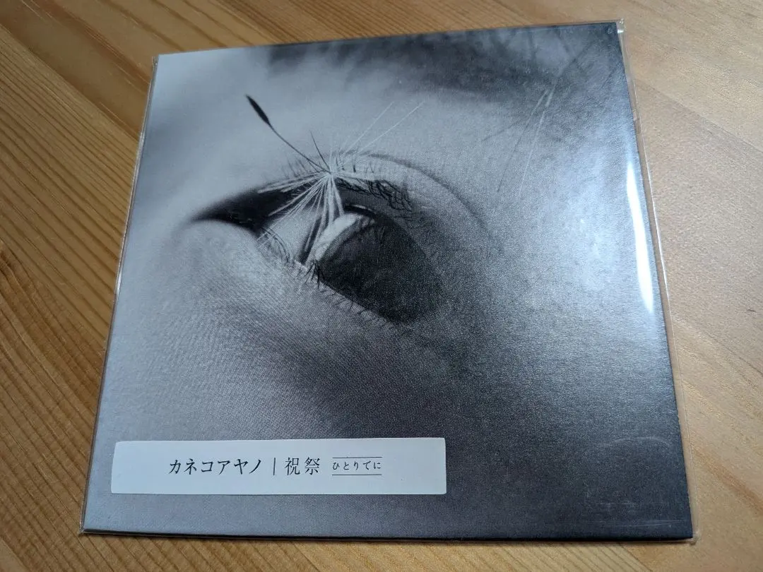 m17369820181_1.jpg?1770534688