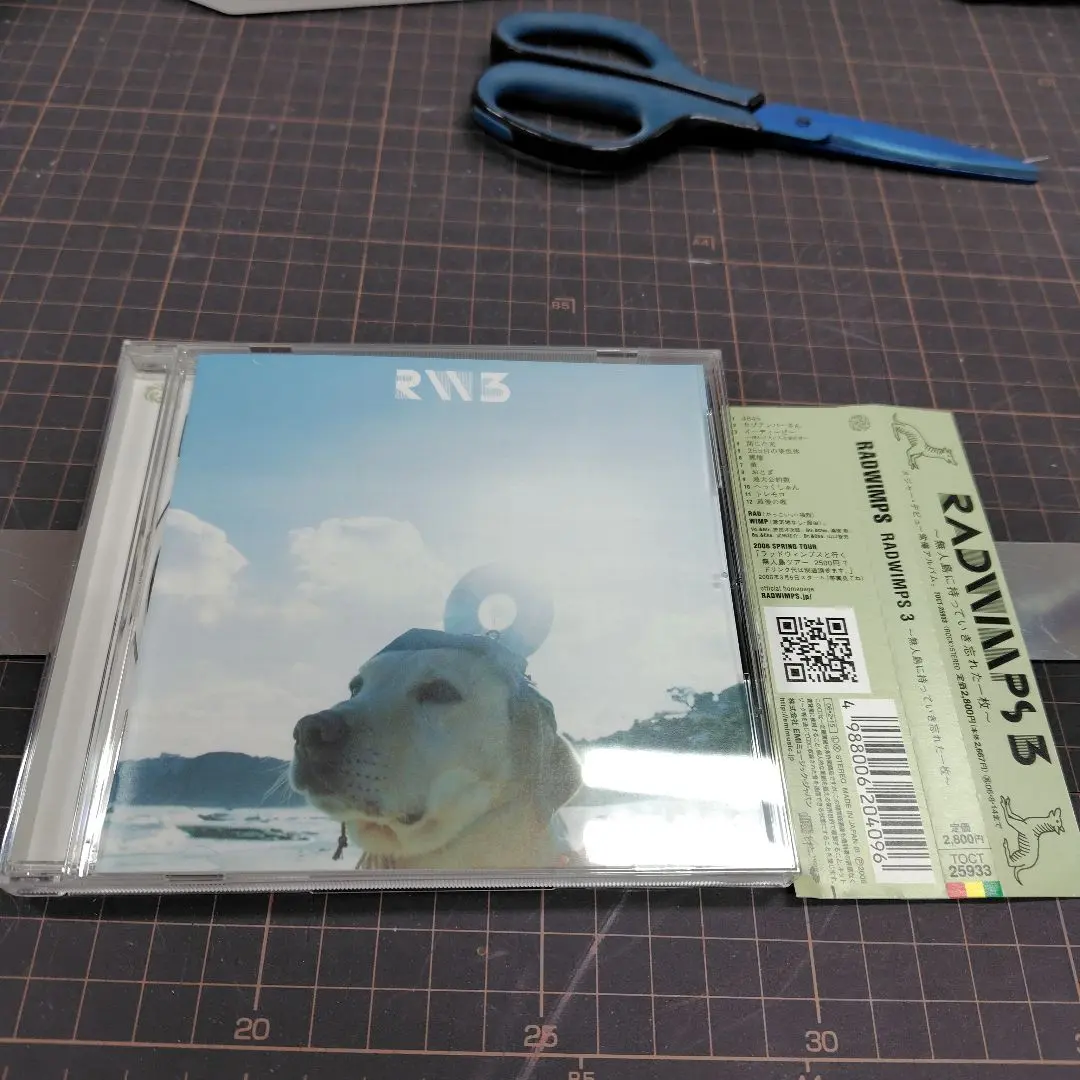 2026年最新】RADWIMPS3~無人島に持っていき忘れた一枚~の人気アイテム