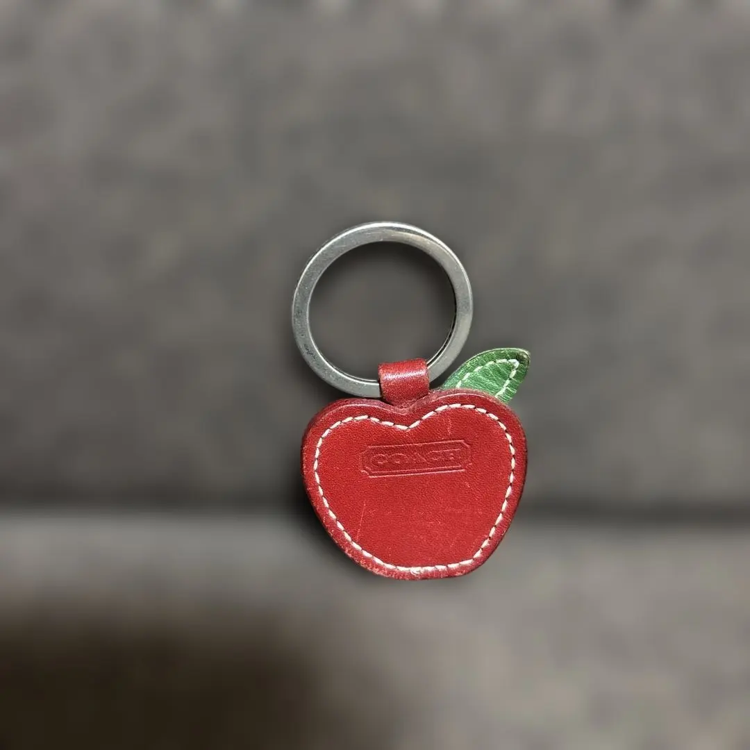 2026年最新】coach キーホルダー リンゴの人気アイテム - メルカリ