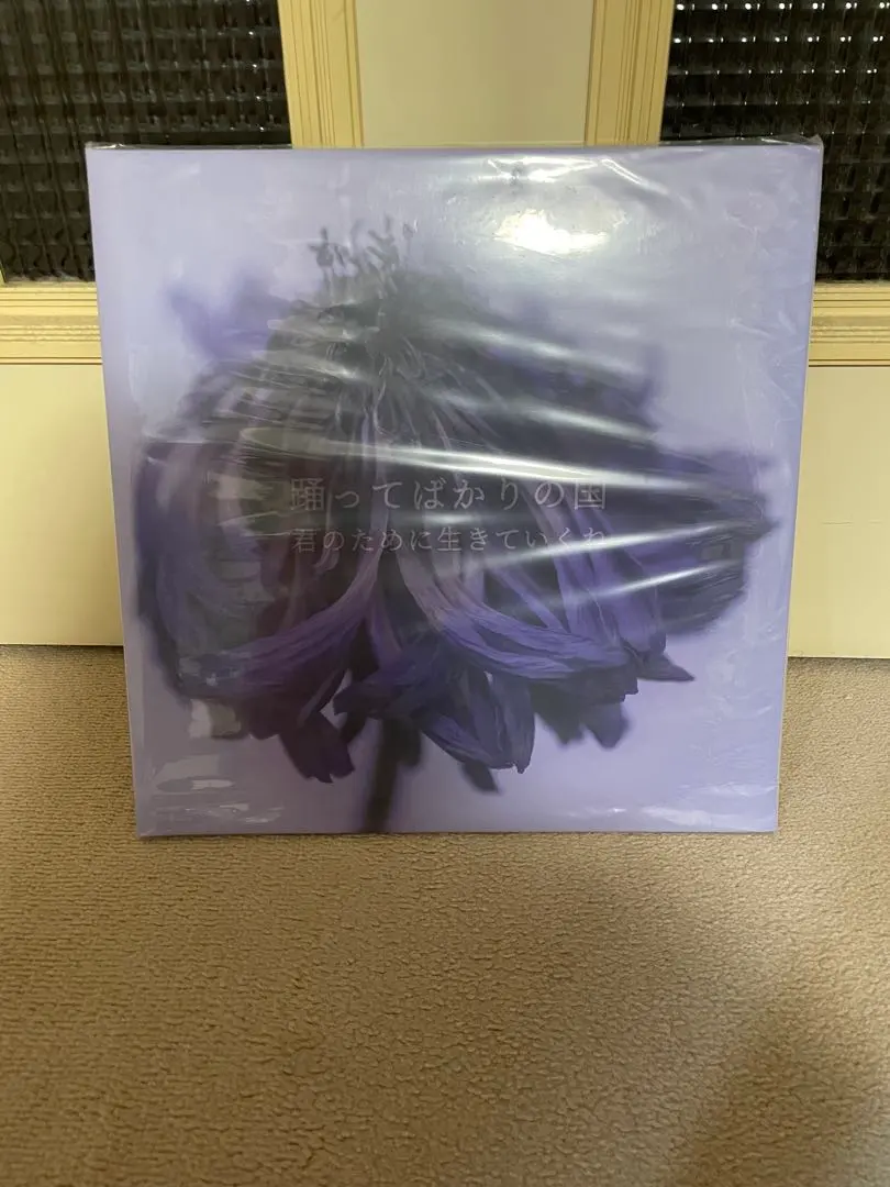 2026年最新】君のために生きていくね 踊ってばかりの国の人気アイテム