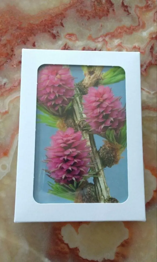 Healing Herbs フラワーエッセンス 木箱入りポストカード付