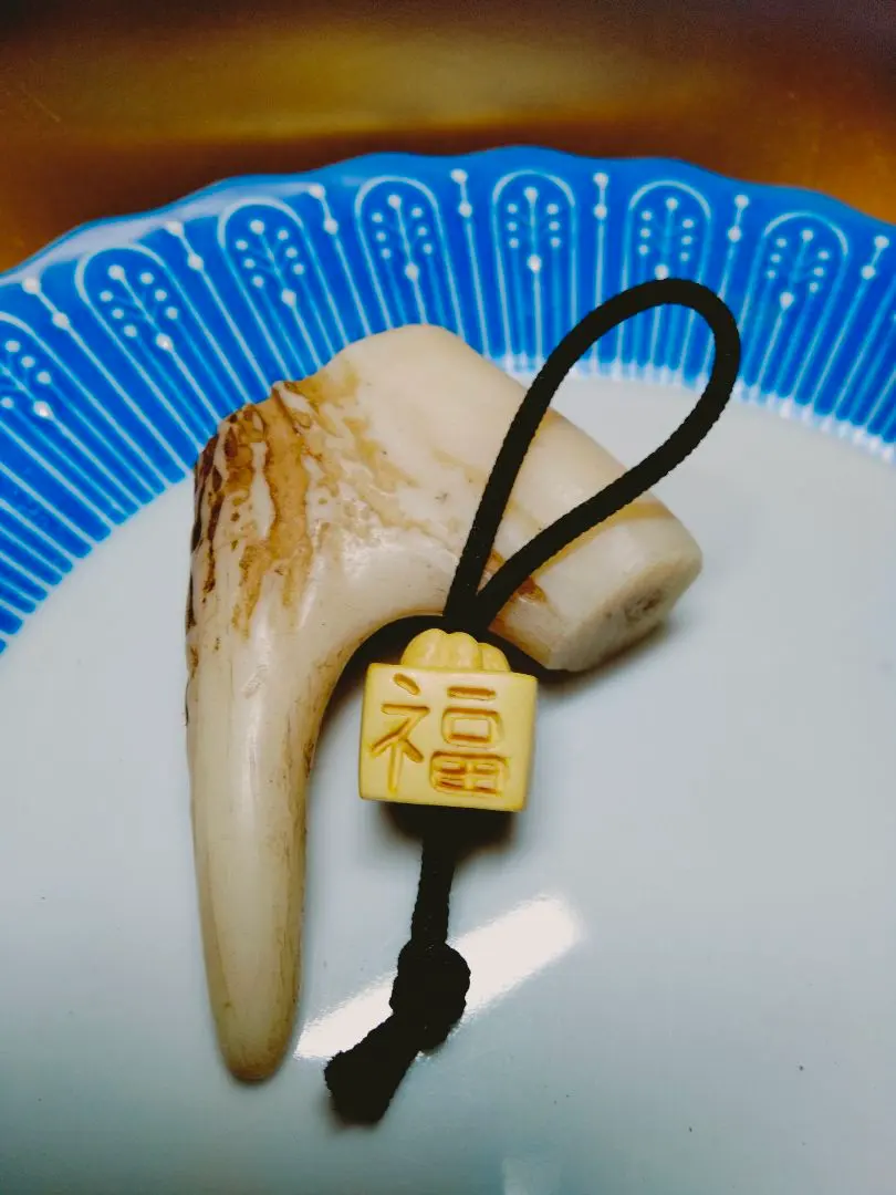 2026年最新】緒締めの人気アイテム - メルカリ