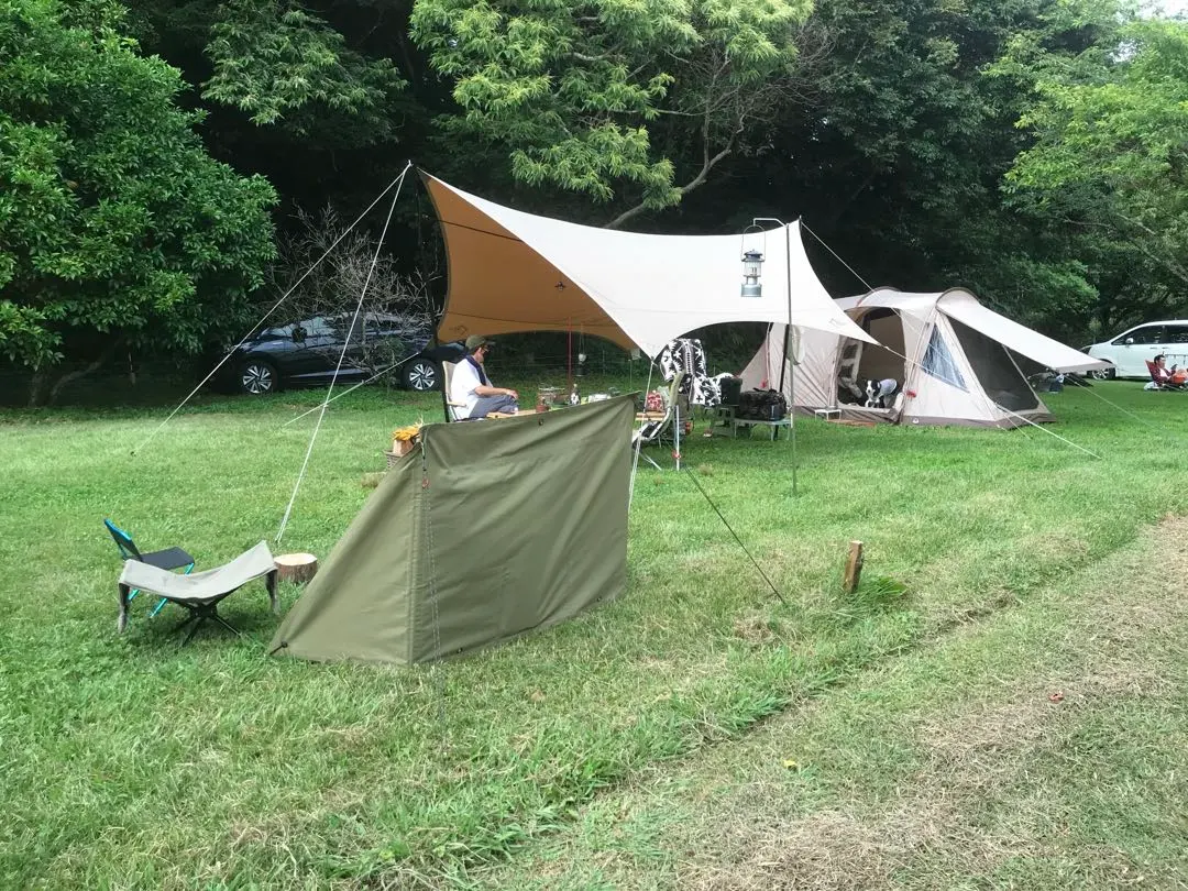 2026年最新】マリポサ L TCの人気アイテム - メルカリ