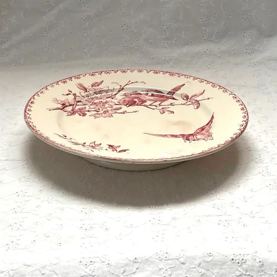 2026年最新】サルグミンヌ コンポティエの人気アイテム - メルカリ