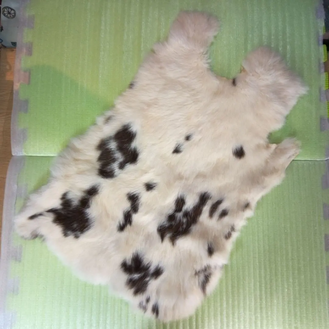 2026年最新】ラビット 尻あての人気アイテム - メルカリ