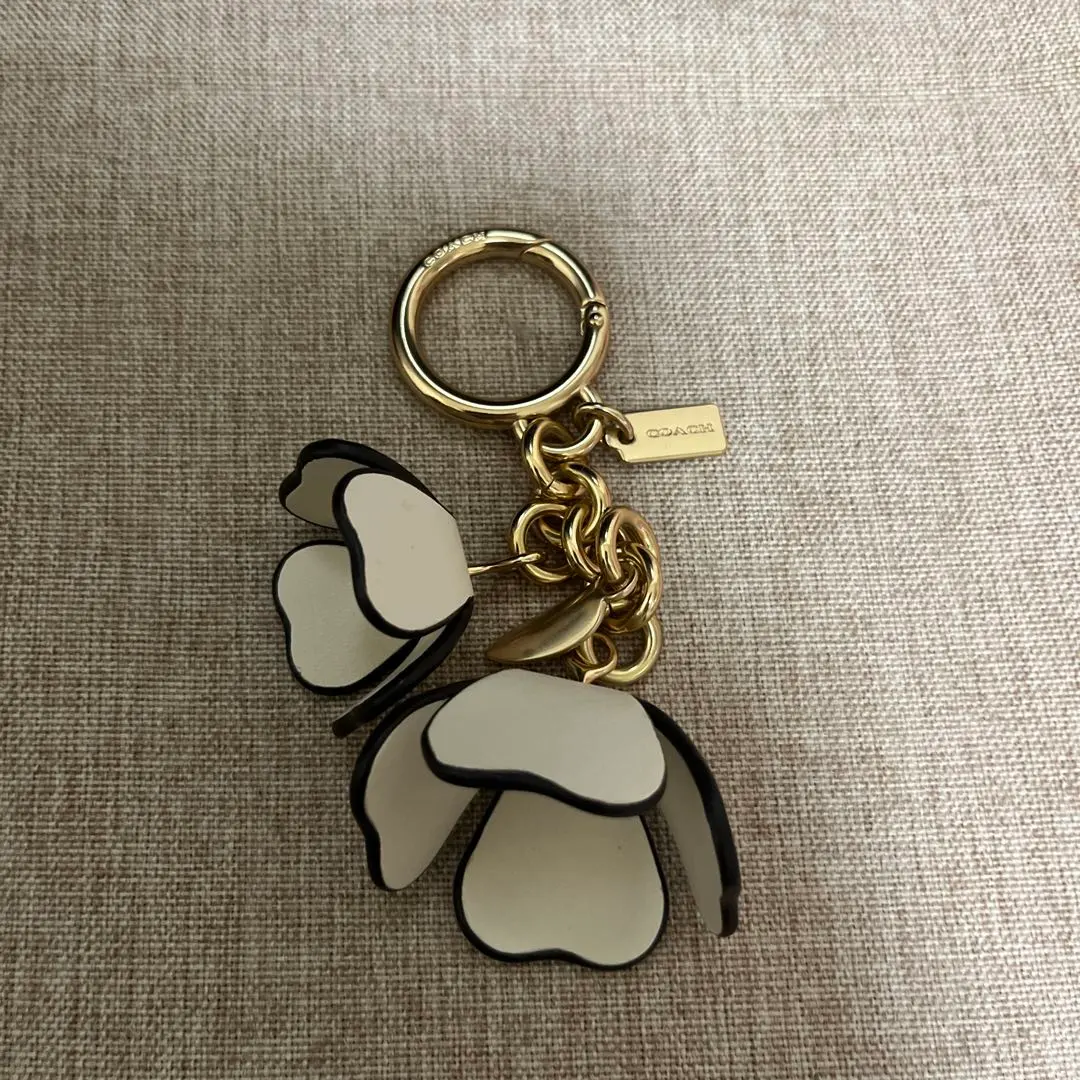 2026年最新】コーチ ティーローズ キーホルダーの人気アイテム - メルカリ
