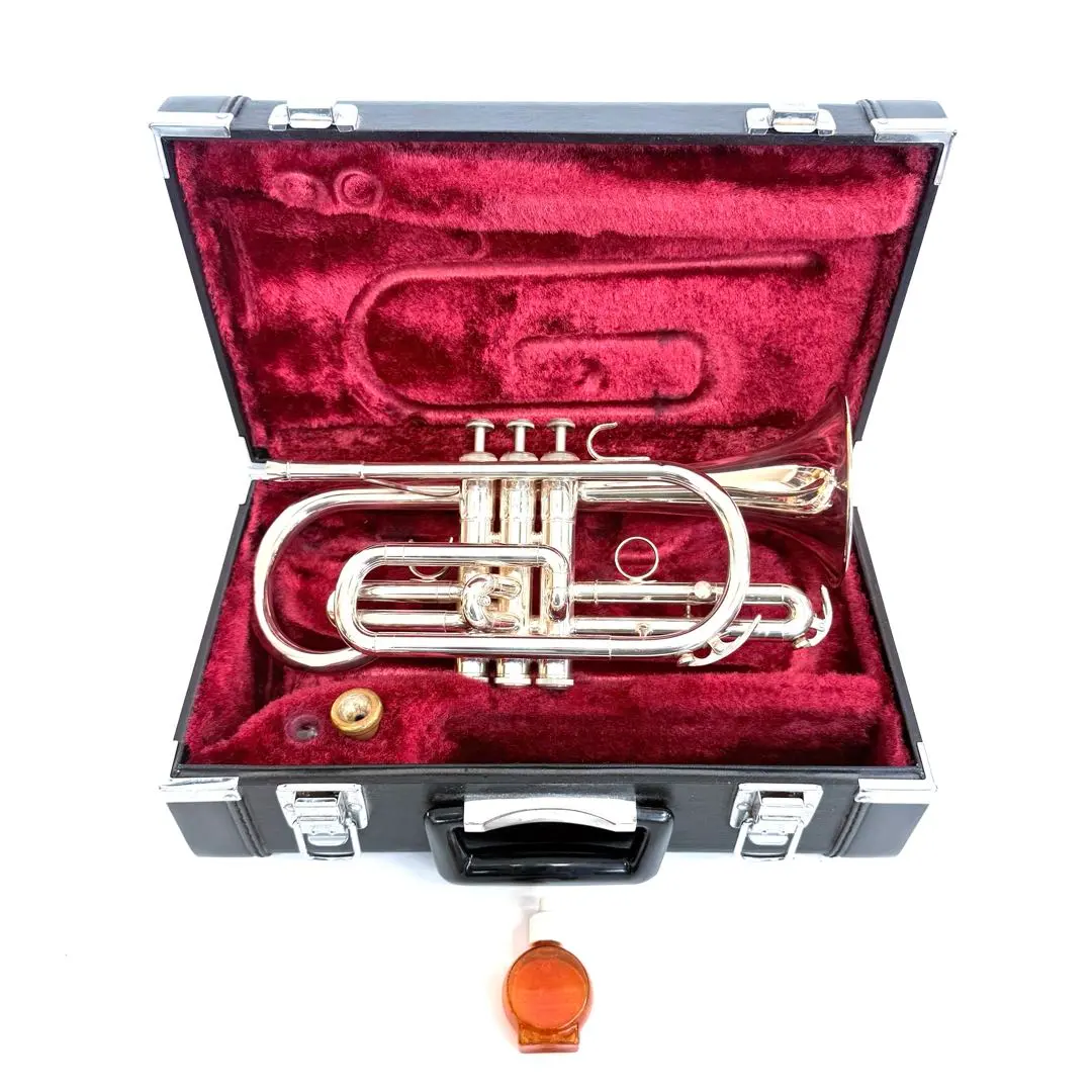 2026年最新】トランペット170の人気アイテム - メルカリ