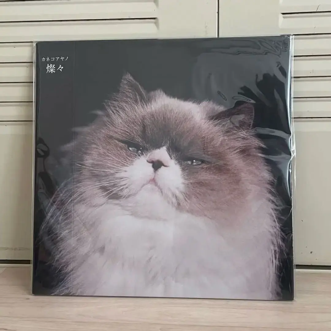 2026年最新】カネコアヤノ 燦々 レコードの人気アイテム - メルカリ