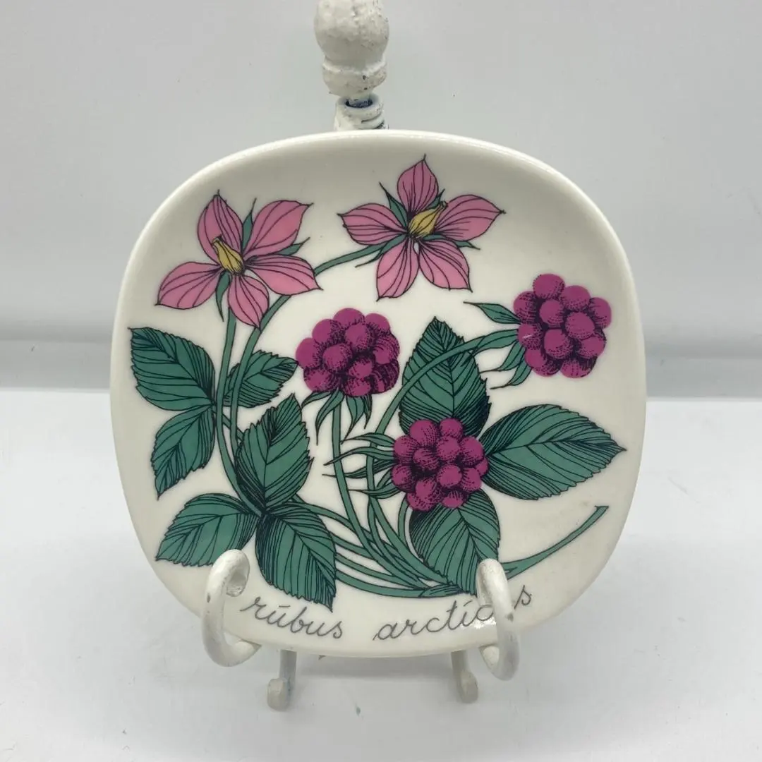 2026年最新】アラビア ボタニカの人気アイテム - メルカリ