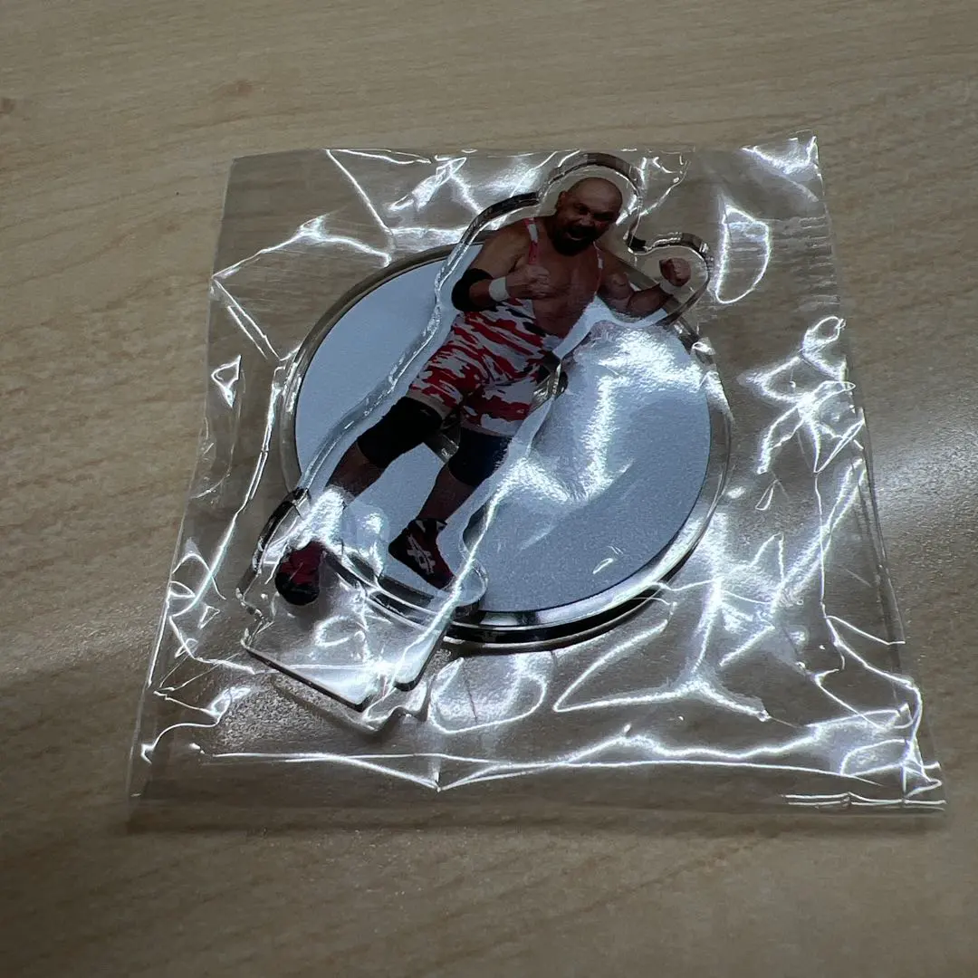 2026年最新】藤田和之の人気アイテム - メルカリ