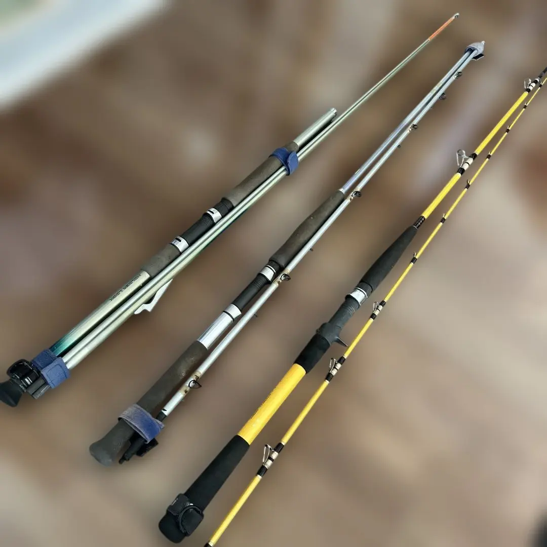 2026年最新】ダイワ シーバードの人気アイテム - メルカリ