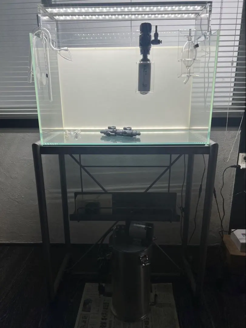 2026年最新】apグラス adaの人気アイテム - メルカリ