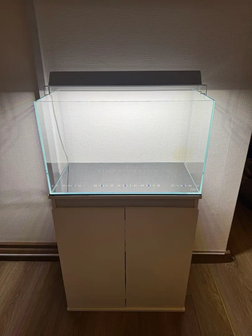 2026年最新】ada水槽台の人気アイテム - メルカリ