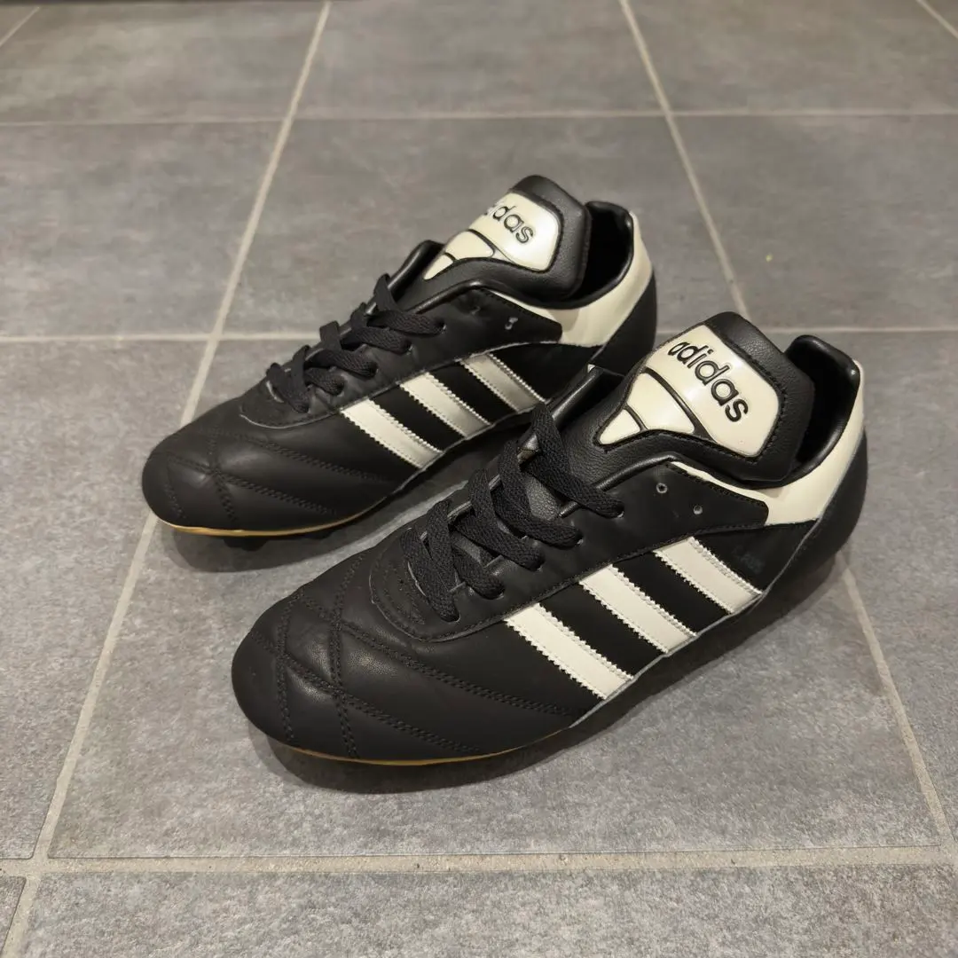 m29155973399_1.jpg?1758205812