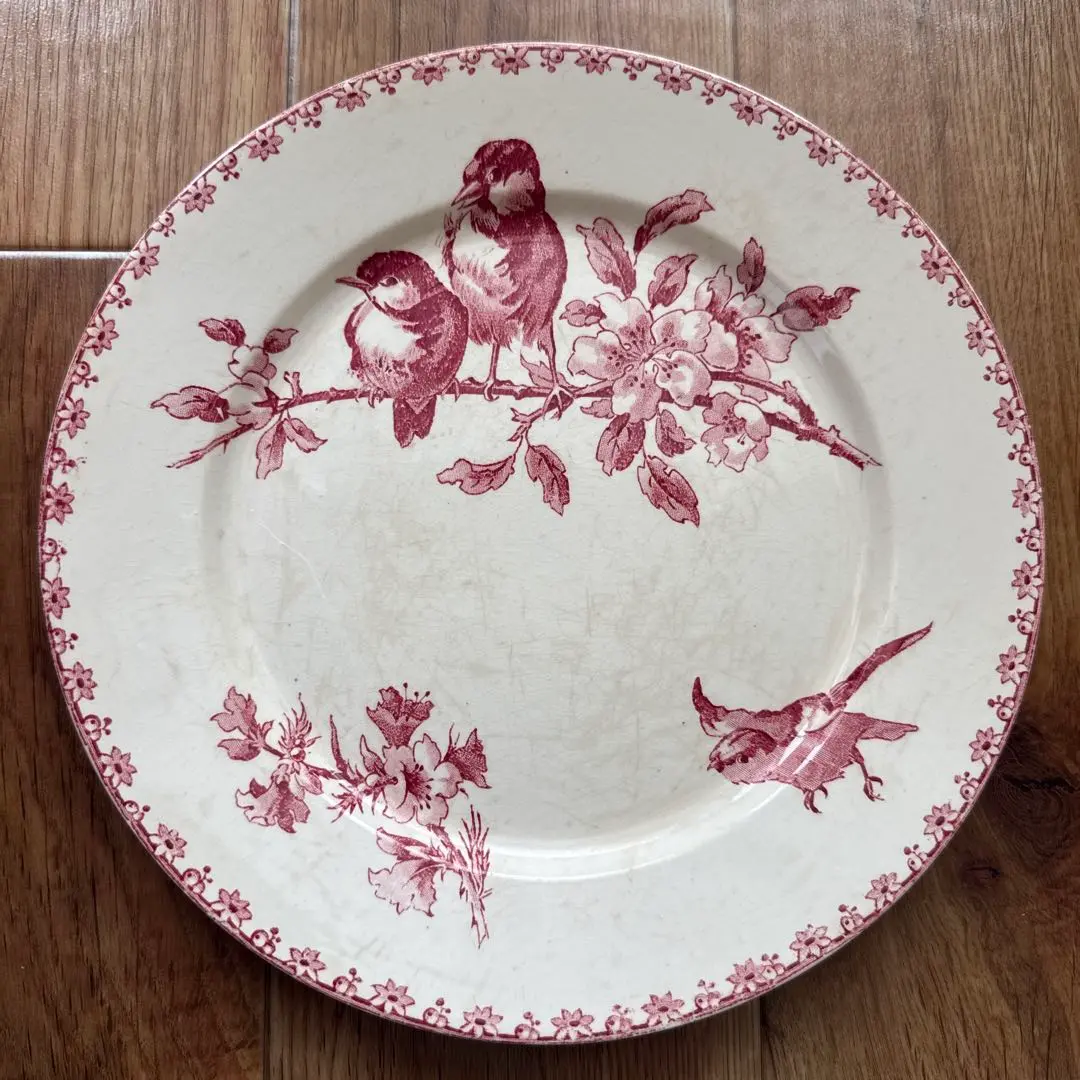 2026年最新】サルグミンヌfavoriの人気アイテム - メルカリ