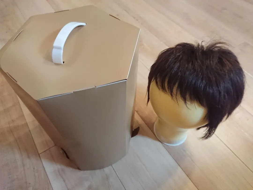 2026年最新】医療用ウィッグ スヴェンソンの人気アイテム - メルカリ