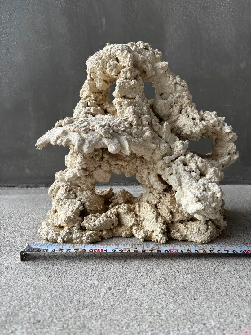 2026年最新】ライブロック セメントの人気アイテム - メルカリ