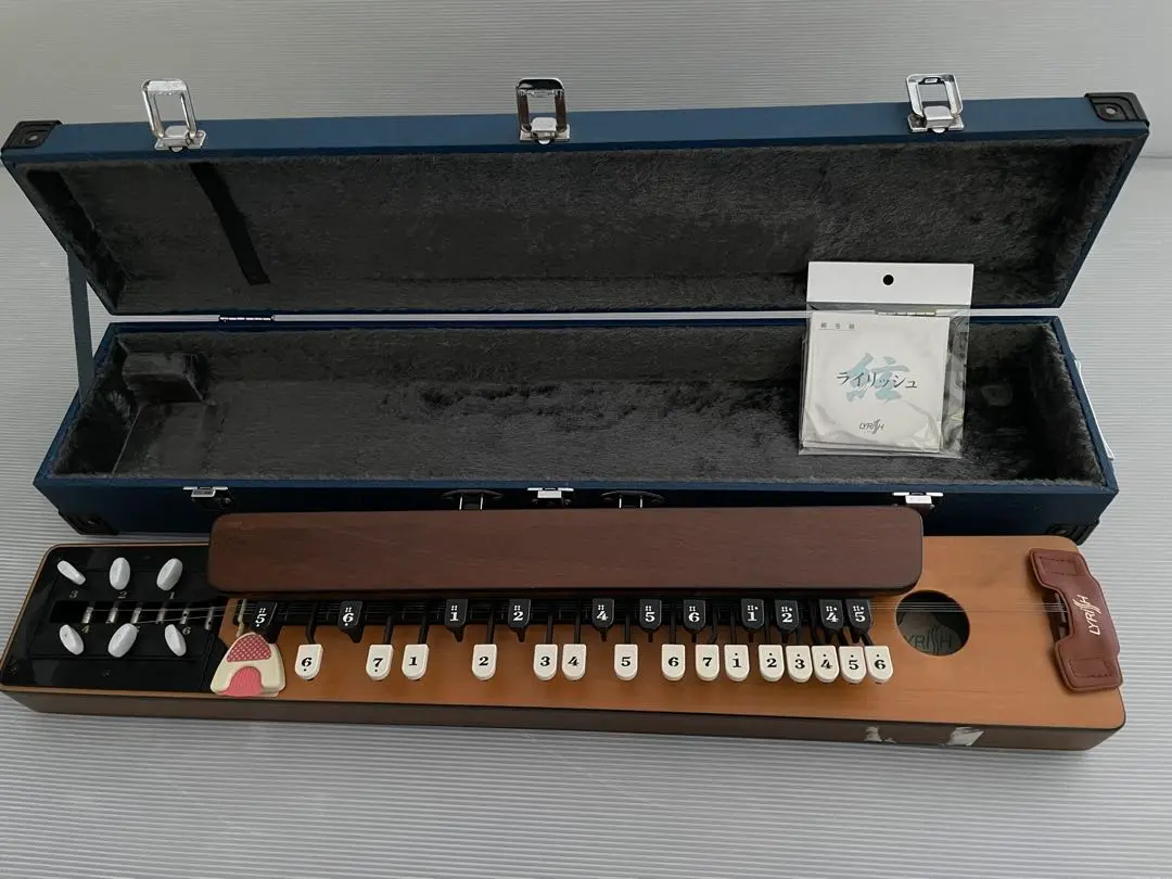 2026年最新】大正琴 ライリッシュの人気アイテム - メルカリ