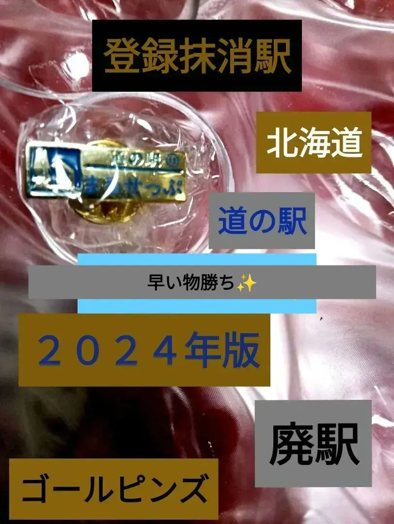 2026年最新】北海道道の駅ゴールドピンズの人気アイテム - メルカリ