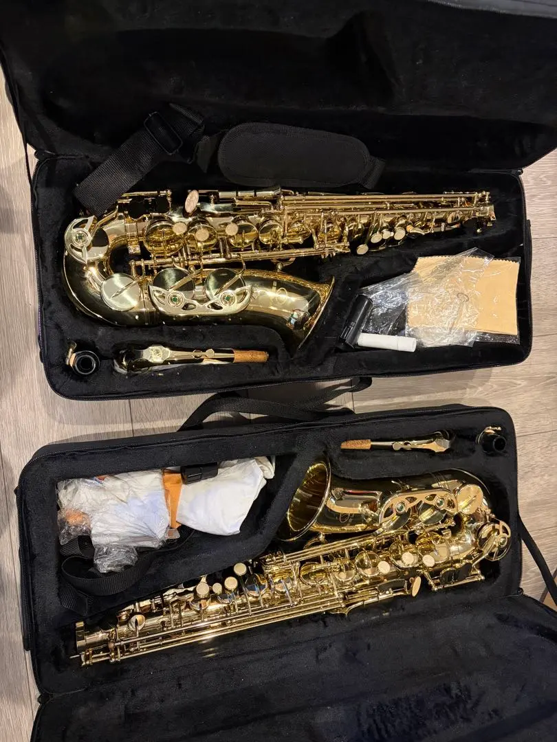 2026年最新】selva サックスの人気アイテム - メルカリ