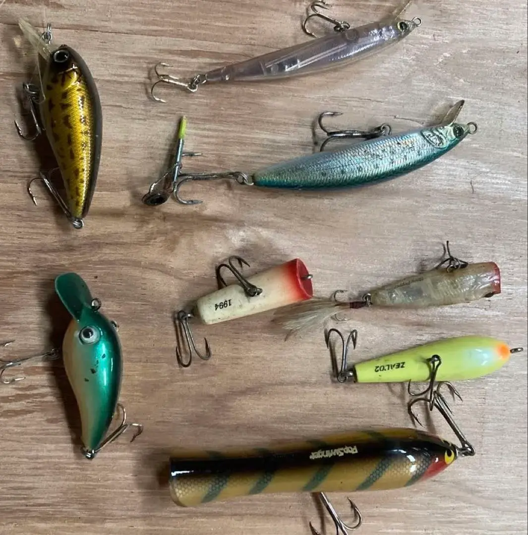 2026年最新】zeal ゲーリーの人気アイテム - メルカリ