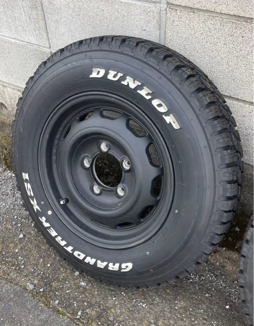 2026年最新】アピオ ワイルドボアの人気アイテム - メルカリ