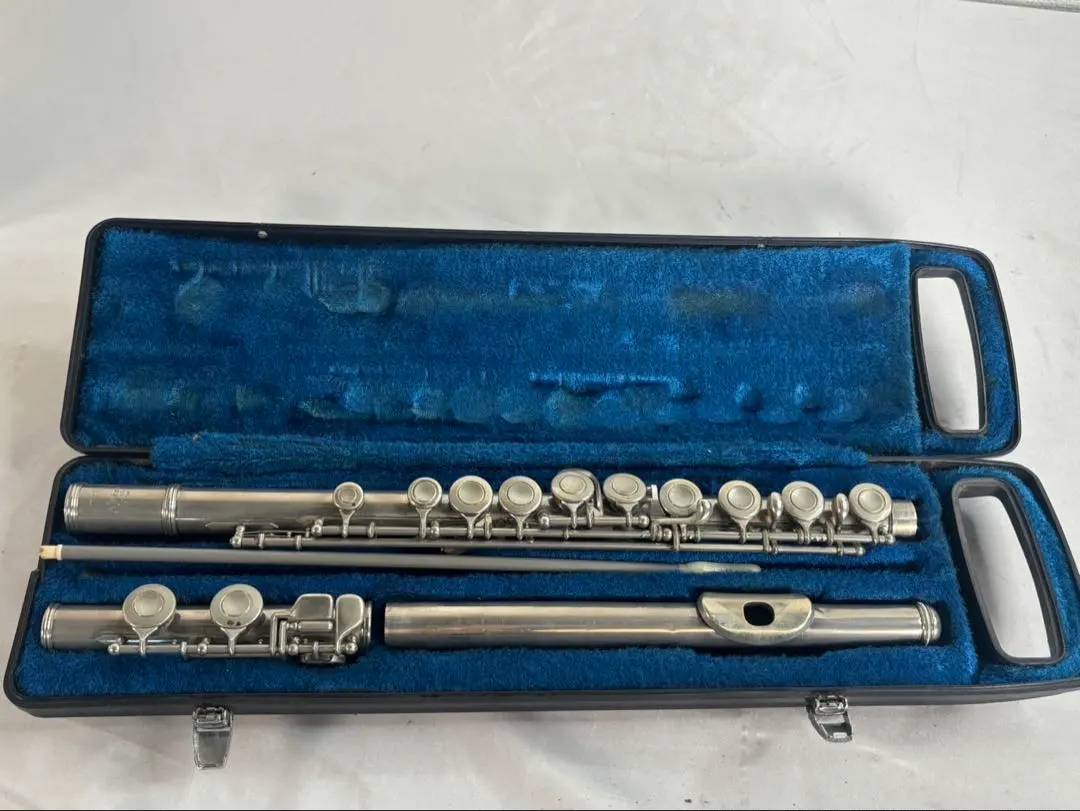 2026年最新】ニッカン フルートの人気アイテム - メルカリ