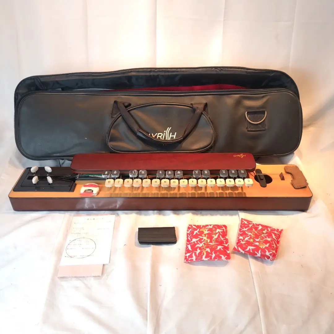 2026年最新】大正琴 ライリッシュの人気アイテム - メルカリ