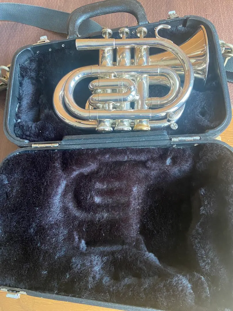 2026年最新】jupiter ポケットトランペットの人気アイテム - メルカリ