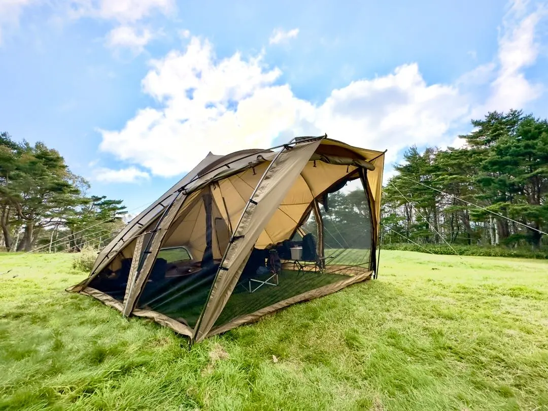 2026年最新】ZANE ARTS LOLO PS-033の人気アイテム - メルカリ