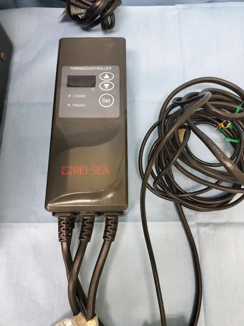 2026年最新】レイシー クーラーの人気アイテム - メルカリ