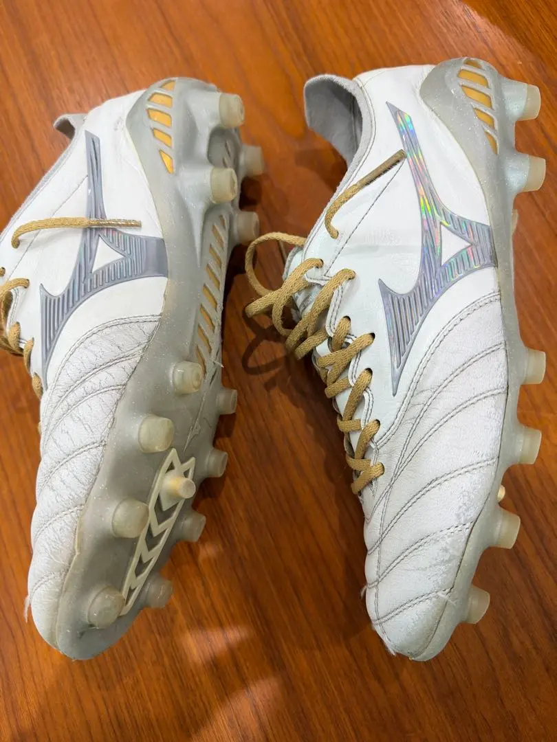 2026年最新】モレリアネオ3 シャイニングの人気アイテム - メルカリ