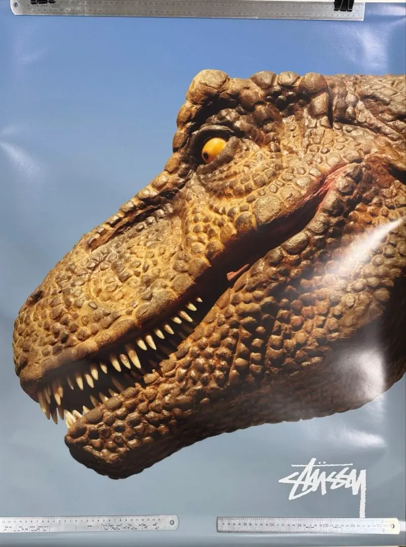 2026年最新】STUSSY 恐竜の人気アイテム - メルカリ