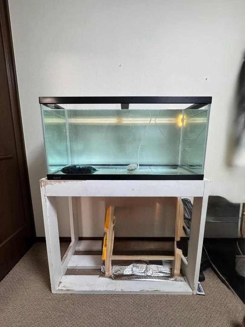 2026年最新】アクリル水槽90の人気アイテム - メルカリ