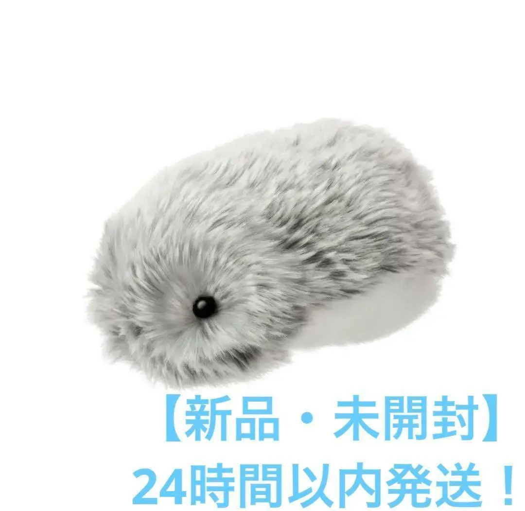 m37072095784_1.jpg?1764514560