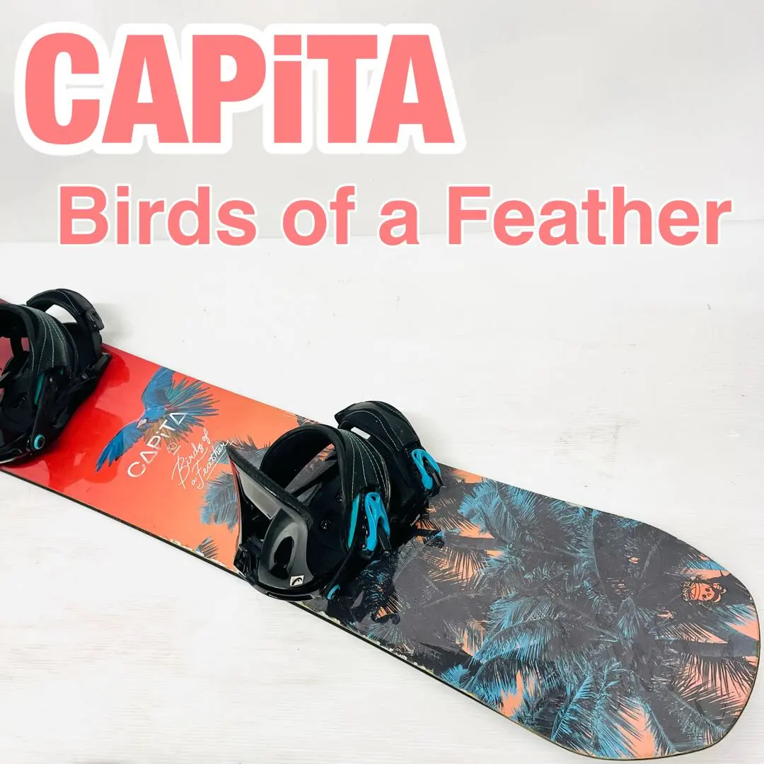 2026年最新】capita birds of a featherの人気アイテム - メルカリ