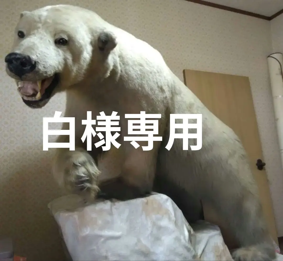 2026年最新】白熊 剥製の人気アイテム - メルカリ