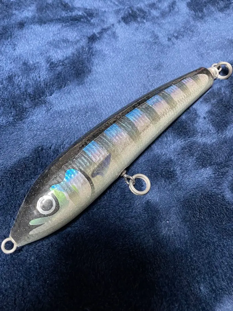 2026年最新】カーペンターブルーフィッシュ100の人気アイテム - メルカリ