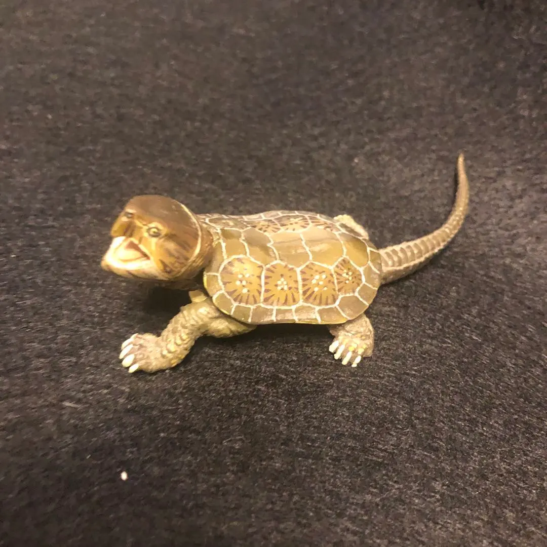 2026年最新】オオアタマガメの人気アイテム - メルカリ