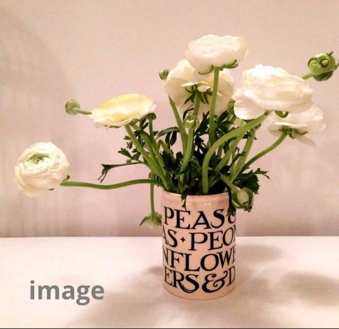 2026年最新】エマブリッジウォーターマグカップの人気アイテム - メルカリ