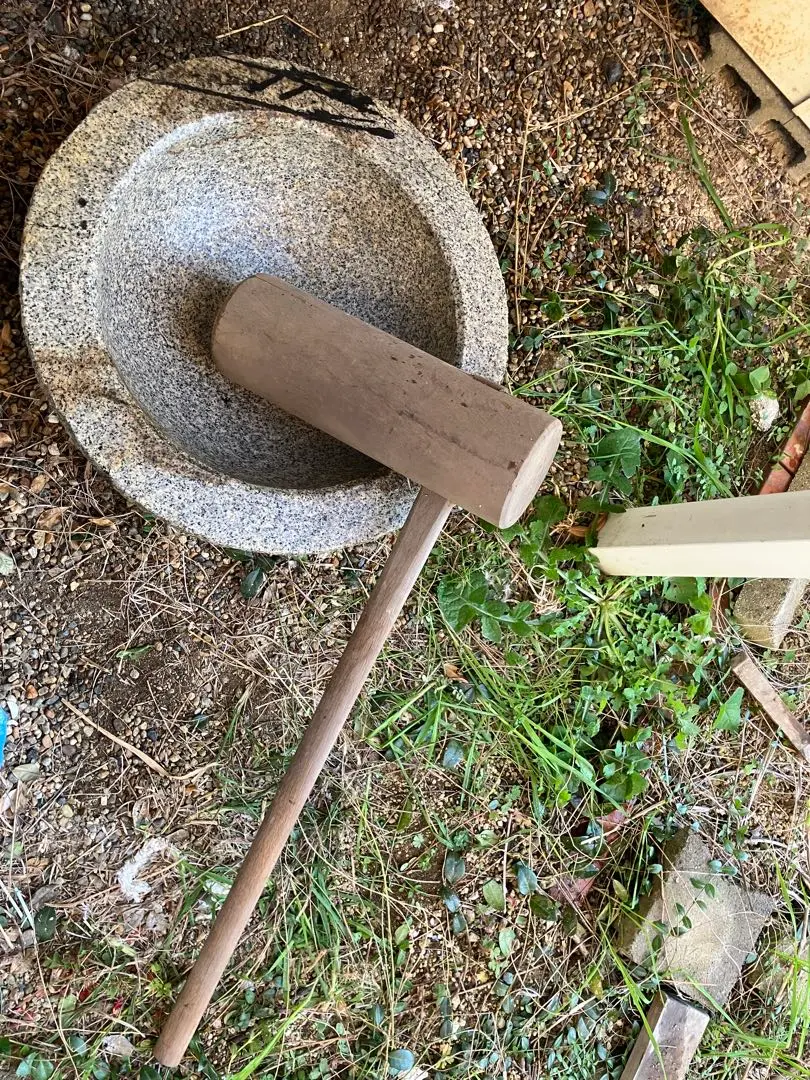 2026年最新】石臼 メダカの人気アイテム - メルカリ