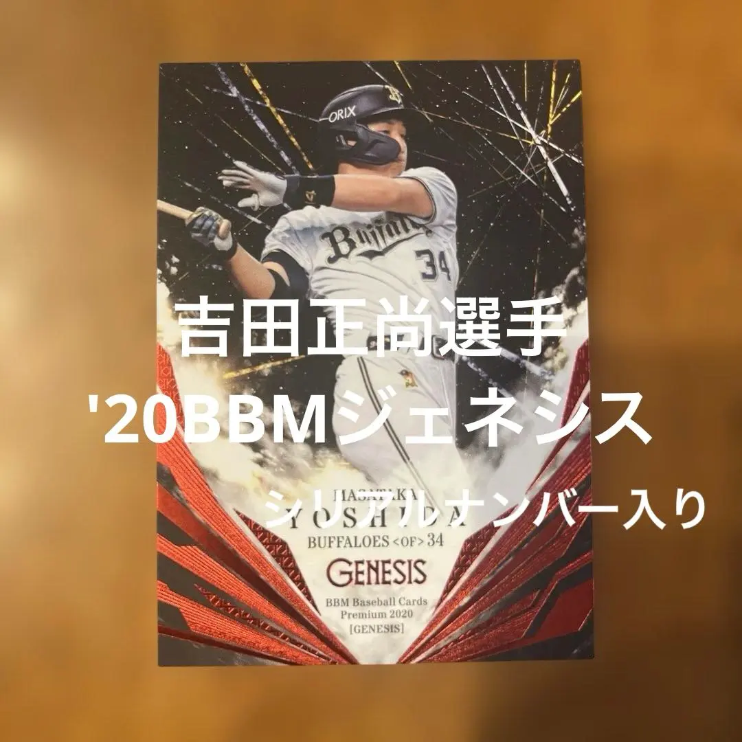 m43151831841_1.jpg?1769826433