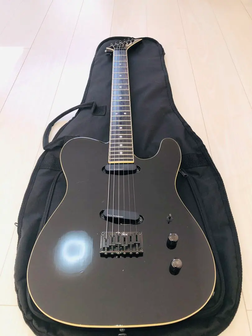 2026年最新】fernandes fgiの人気アイテム - メルカリ