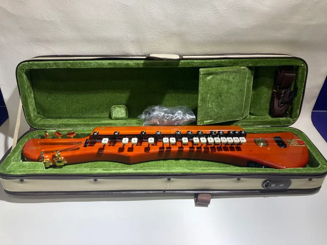 2026年最新】大正琴 こはくの人気アイテム - メルカリ