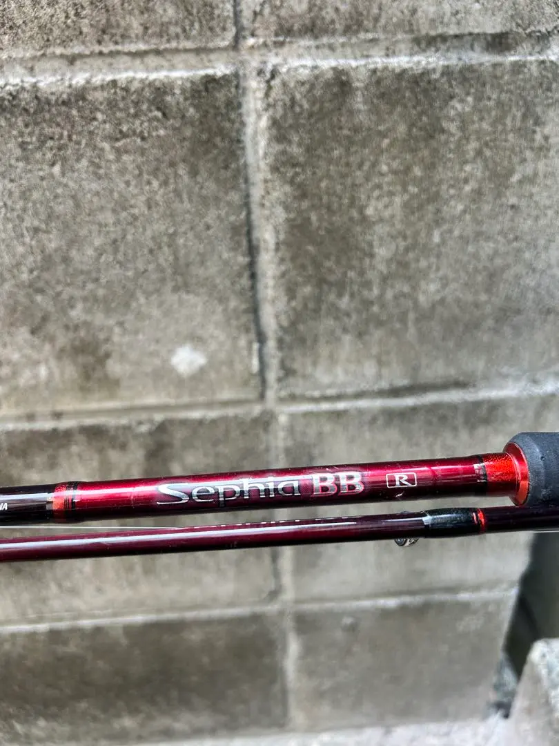 2026年最新】シマノ セフィア S800の人気アイテム - メルカリ