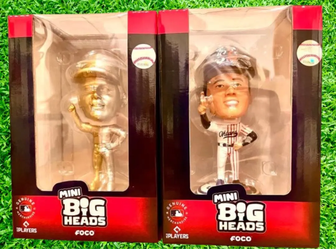 m44627900261_1.jpg?1768743014