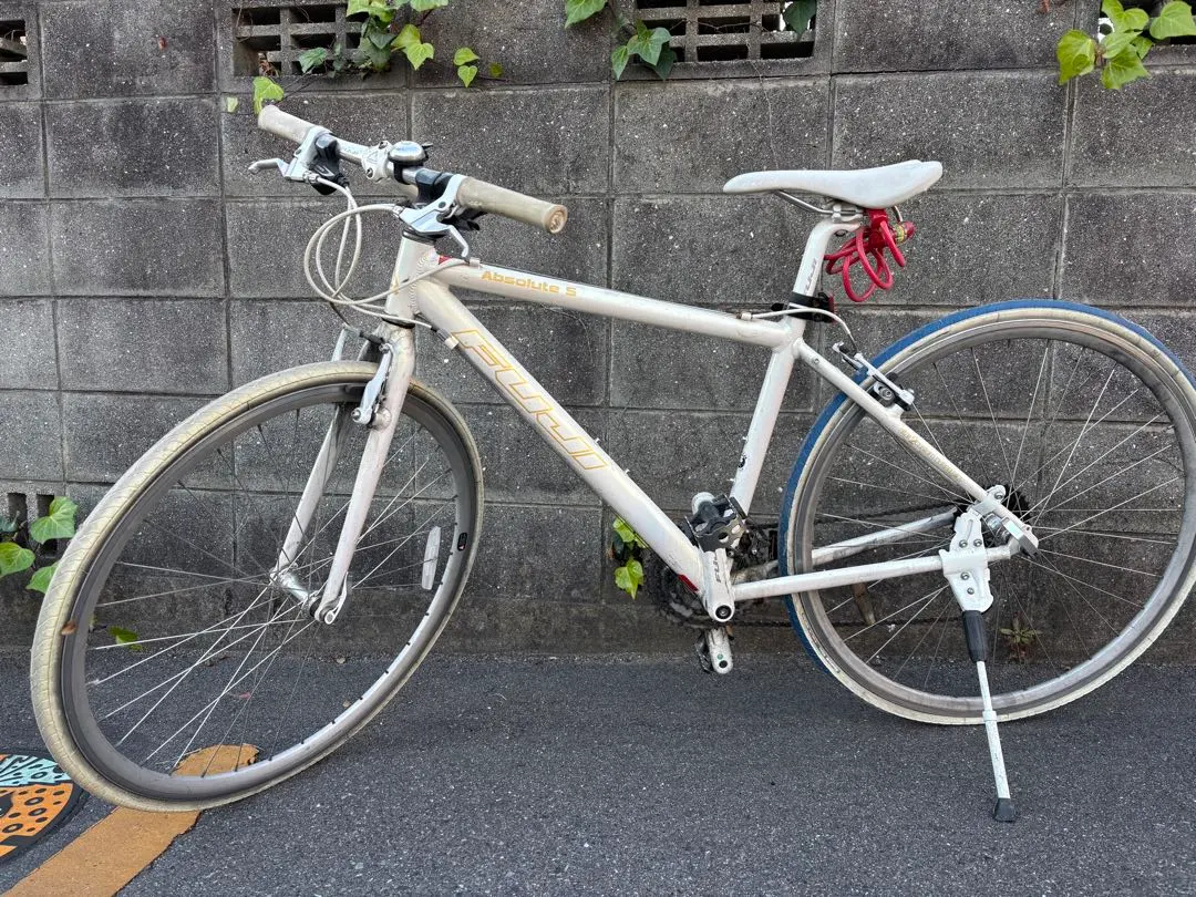 2026年最新】fuji absoluteの人気アイテム - メルカリ