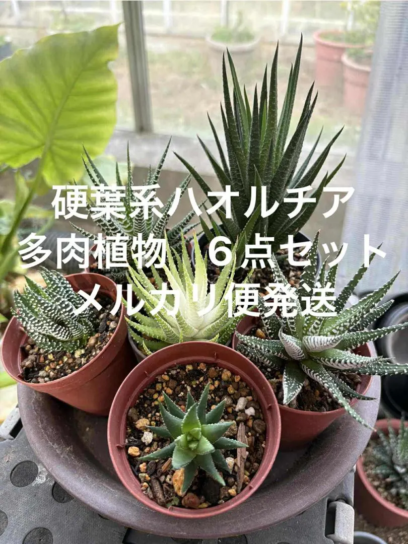 2026年最新】五重の塔錦の人気アイテム - メルカリ